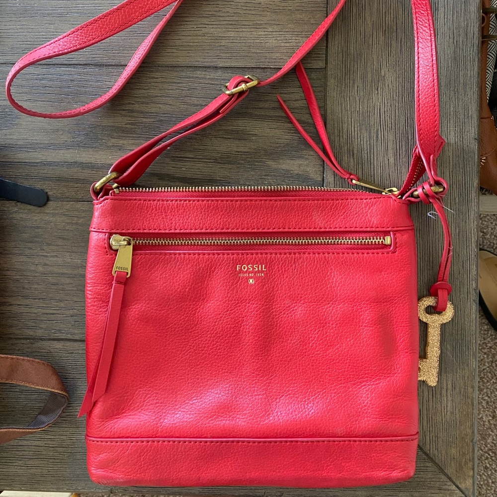 Fossil satchel